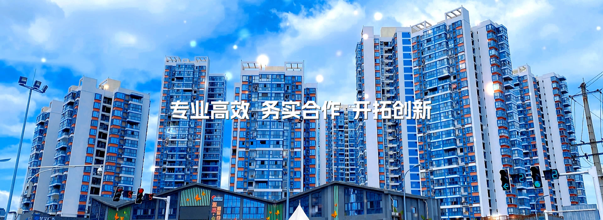 专业高效、务实合作、开拓创新